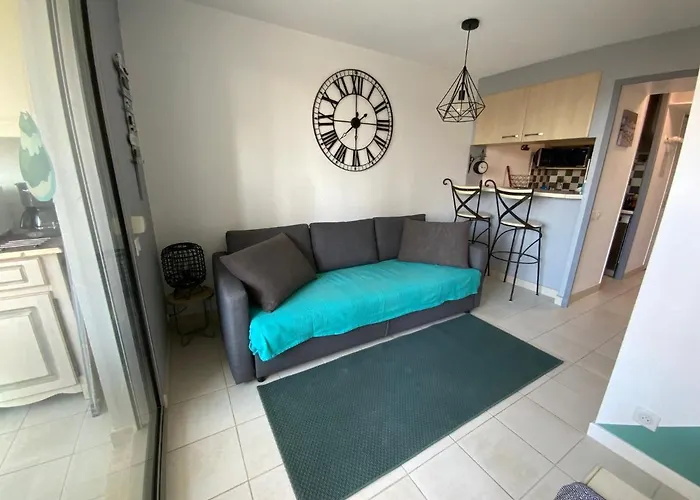 T2 Climatise Avec Piscine Secteur Richelieu *